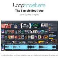 Аудиоинтерфейс Audient iD44 - Превью изображения №21 — Интернет-магазин Time-Shop