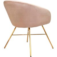 Стул с подлокотниками AksHome Amur (светло-коричневый велюр/золото) - Превью изображения №4 — Интернет-магазин Time-Shop