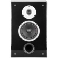  WILSON Raptor On-Wall Black Ash - Превью изображения №2 — Интернет-магазин Time-Shop
