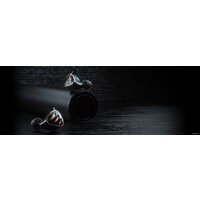 Наушники FiiO FH5s (черный) - Превью изображения №12 — Интернет-магазин Time-Shop