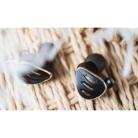 Наушники FiiO FH5s (черный) - Превью изображения №10 — Интернет-магазин Time-Shop