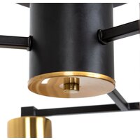 Люстра средней высоты Arte Lamp Leo A7027PL-8BK - Превью изображения №5 — Интернет-магазин Time-Shop