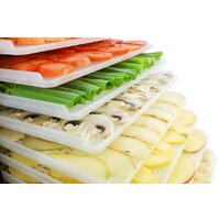 Сушилка для овощей и фруктов Tribest Sedona Express SD-6280 (пластиковые лотки) - Превью изображения №11 — Интернет-магазин Time-Shop