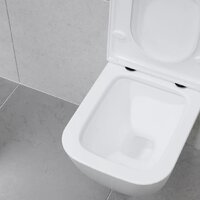 Унитаз подвесной Lauter Nuremberg 21811 + Breez 21GN7071CH - Превью изображения №27 — Интернет-магазин Time-Shop