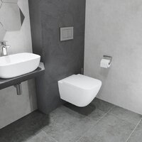 Унитаз подвесной Lauter Nuremberg 21811 + Breez 21GN7071CH - Превью изображения №12 — Интернет-магазин Time-Shop