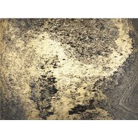 Бра Odeon Light Bergi 5064/1W - Превью изображения №9 — Интернет-магазин Time-Shop