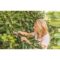Секатор Bosch EasyPrune - Превью изображения №2 — Интернет-магазин Time-Shop
