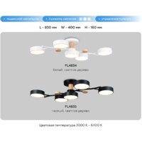 Припотолочная люстра Ambrella light FL4835/5 BK - Превью изображения №7 — Интернет-магазин Time-Shop