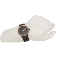 Наручные часы Skagen SKW6296 - Превью изображения №10 — Интернет-магазин Time-Shop