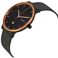 Наручные часы Skagen SKW6296 - Превью изображения №2 — Интернет-магазин Time-Shop