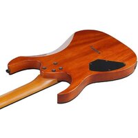 Электрогитара Ibanez GRGR221FA-TDK - Превью изображения №3 — Интернет-магазин Time-Shop