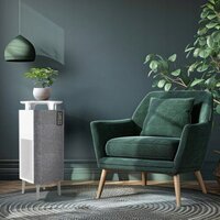 Очиститель воздуха Webber AP8800 - Превью изображения №14 — Интернет-магазин Time-Shop