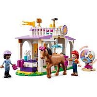 Конструктор LEGO Friends 41746 Тренировка лошадей - Превью изображения №3 — Интернет-магазин Time-Shop