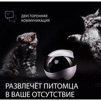 Умный робот-друг RED Solution Reddy SE - Превью изображения №6 — Интернет-магазин Time-Shop