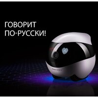 Умный робот-друг RED Solution Reddy SE - Превью изображения №13 — Интернет-магазин Time-Shop