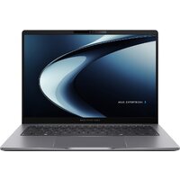 ASUS ExpertBook P3 PM3406CKA-LY0247