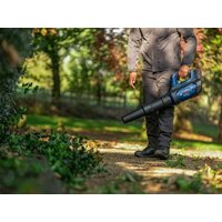 Ручная воздуходувка Bosch GBL 18V-800 06008D2200 (без АКБ) - Превью изображения №12 — Интернет-магазин Time-Shop