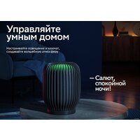 Умная колонка Sber SberBoom (галактический синий) - Превью изображения №8 — Интернет-магазин Time-Shop