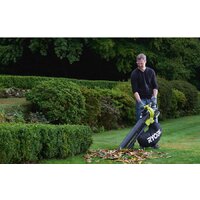 Колесная воздуходувка Ryobi RBV36B [5133002524] - Превью изображения №8 — Интернет-магазин Time-Shop