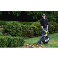 Колесная воздуходувка Ryobi RBV36B [5133002524] - Превью изображения №5 — Интернет-магазин Time-Shop