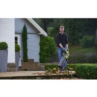 Колесная воздуходувка Ryobi RBV36B [5133002524] - Превью изображения №4 — Интернет-магазин Time-Shop