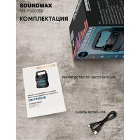 Беспроводная колонка Soundmax SM-PS5035B - Превью изображения №7 — Интернет-магазин Time-Shop