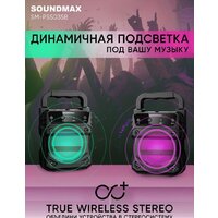 Беспроводная колонка Soundmax SM-PS5035B - Превью изображения №6 — Интернет-магазин Time-Shop