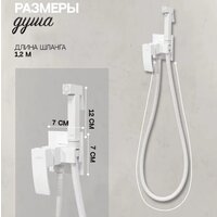 Гигиенический душ Hansberge H3077 (белый) - Превью изображения №6 — Интернет-магазин Time-Shop