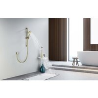 Душевой гарнитур  Aquatek Оберон AQ2016BG (золото) - Превью изображения №8 — Интернет-магазин Time-Shop