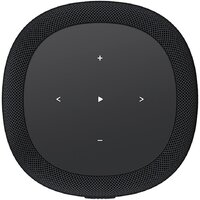 Беспроводная аудиосистема WiiM Sound Lite (черный) - Превью изображения №3 — Интернет-магазин Time-Shop