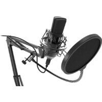 Проводной микрофон Ritmix RDM-169 - Превью изображения №2 — Интернет-магазин Time-Shop