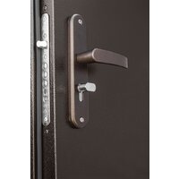 Металлическая дверь Промет Профи DL 205х125 (левый) - Превью изображения №5 — Интернет-магазин Time-Shop