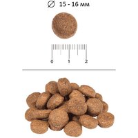 Сухой корм для собак Blitz Adult Light & Fit 15 кг - Превью изображения №2 — Интернет-магазин Time-Shop