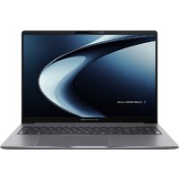 ASUS ExpertBook P3 PM3606CKA-MB0398