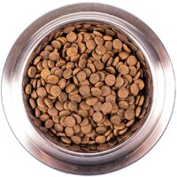 Сухой корм для собак Monge Speciality Line Puppy & Junior Lamb&Rice (12 кг) - Превью изображения №5 — Интернет-магазин Time-Shop