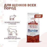 Сухой корм для собак Monge Speciality Line Puppy & Junior Lamb&Rice (12 кг) - Превью изображения №6 — Интернет-магазин Time-Shop