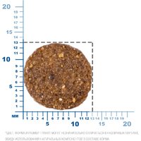 Сухой корм для собак Monge Speciality Line Puppy & Junior Lamb&Rice (12 кг) - Превью изображения №10 — Интернет-магазин Time-Shop