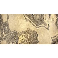 Подвесная люстра Odeon Light Bergi 5064/1 - Превью изображения №4 — Интернет-магазин Time-Shop