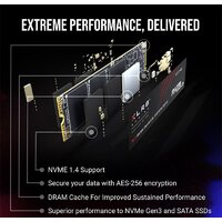 SSD PNY XLR8 CS3140 Heatsink 1TB M280CS3140-1TB-RB - Превью изображения №5 — Интернет-магазин Time-Shop