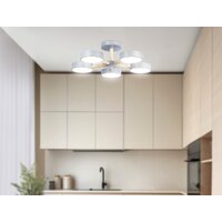 Припотолочная люстра Ambrella light FL4826/5 GR - Превью изображения №5 — Интернет-магазин Time-Shop