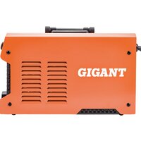 Сварочный инвертор Gigant GWM-250 - Превью изображения №10 — Интернет-магазин Time-Shop