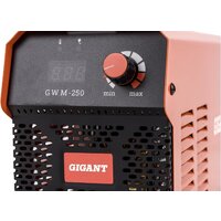 Сварочный инвертор Gigant GWM-250 - Превью изображения №6 — Интернет-магазин Time-Shop