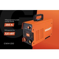 Сварочный инвертор Gigant GWM-250 - Превью изображения №14 — Интернет-магазин Time-Shop