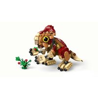 Конструктор LEGO Jurassic World Детёныш динозавра Долорес: Аквилопс 76970 - Превью изображения №5 — Интернет-магазин Time-Shop