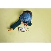 Конструктор LEGO Jurassic World Детёныш динозавра Долорес: Аквилопс 76970 - Превью изображения №11 — Интернет-магазин Time-Shop