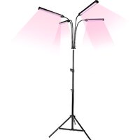 Светильники, люстры, бра, споты