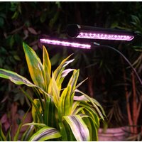 Лампа для растений Uniel ULT-P32-60W/SPLE/TM/40 IP40 BLACK QUAD UL-00008906 - Превью изображения №7 — Интернет-магазин Time-Shop