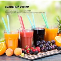 Соковыжималка Polaris PSJ 0602 - Превью изображения №17 — Интернет-магазин Time-Shop