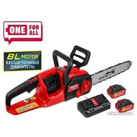 Wortex CEC 3536-1 1333454 (с 2-мя АКБ)