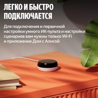 ИК-пульт Яндекс YNDX-00571 - Превью изображения №11 — Интернет-магазин Time-Shop